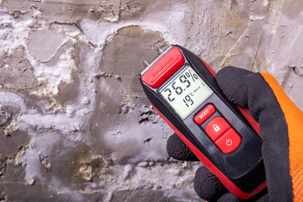 Mold Removal and Inspection in Dover Beaches North, NJ