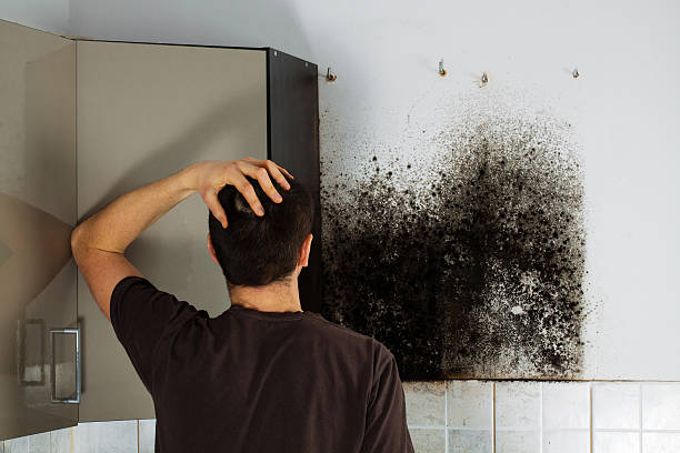 Best Mold Cleaning Services  in Dover Beaches North, NJ